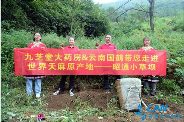 �Ļ�+��Ʒ���ǿռ���������չֱ��Ӫ��ս�Ժ���